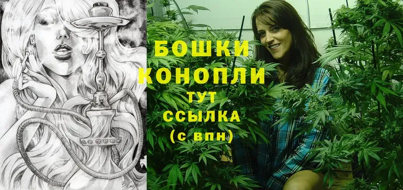 Шишки марихуана SATIVA & INDICA  Гаврилов Посад 